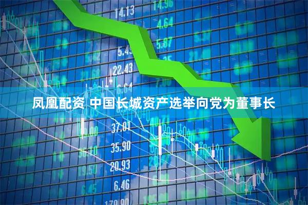 凤凰配资 中国长城资产选举向党为董事长