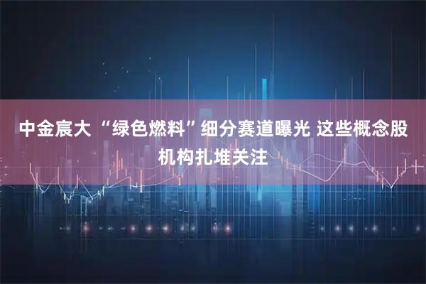 中金宸大 “绿色燃料”细分赛道曝光 这些概念股机构扎堆关注