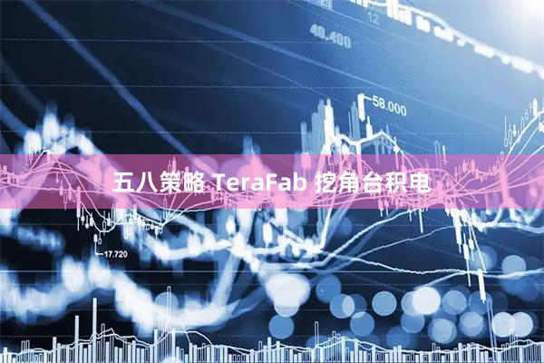 五八策略 TeraFab 挖角台积电