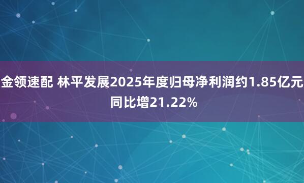 金领速配 林平发展2025年度归母净利润约1.85亿元 同比增21.22%
