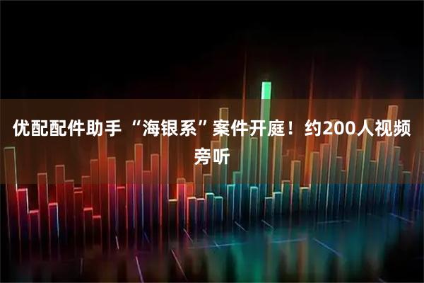 优配配件助手 “海银系”案件开庭！约200人视频旁听